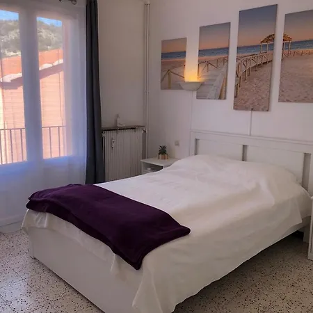 T3 Vallespir Les Bains Appartement *